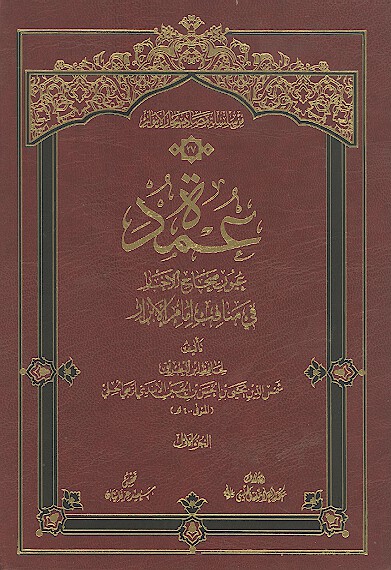 عمده عيون صحاح الاخبار في مناقب امام الابرار ج 1